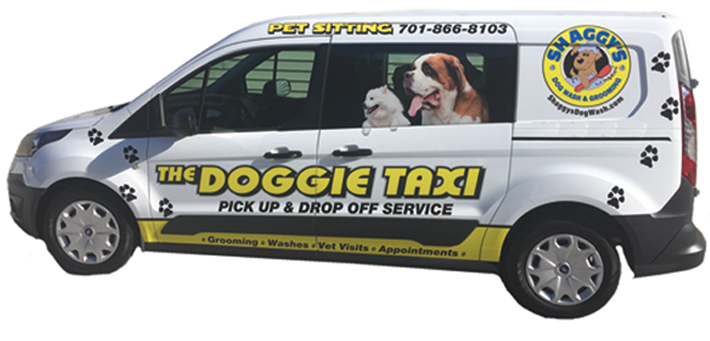 Shaggy's Doggy Taxi