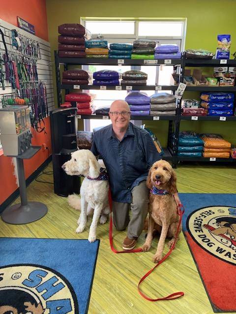Groomed Dogs